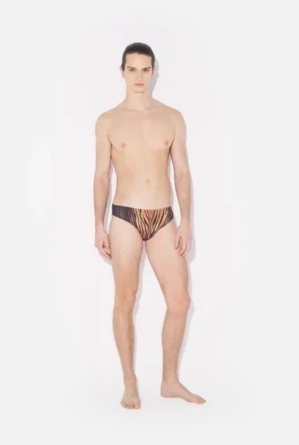 The Wood Swimming Briefs